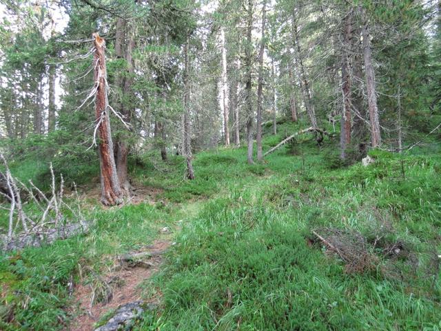 über viele Kehren führt uns der Wanderweg in nordöstlicher Richtung...