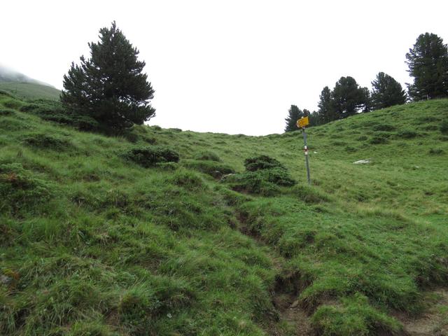 bei Cuziranch erreichen wir offenes Gelände und zugleich die Weggabelung Punkt 2134 m.ü.M...