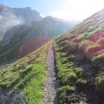 der weiterhin einfache Wanderweg, führt uns weiter taleinwärts