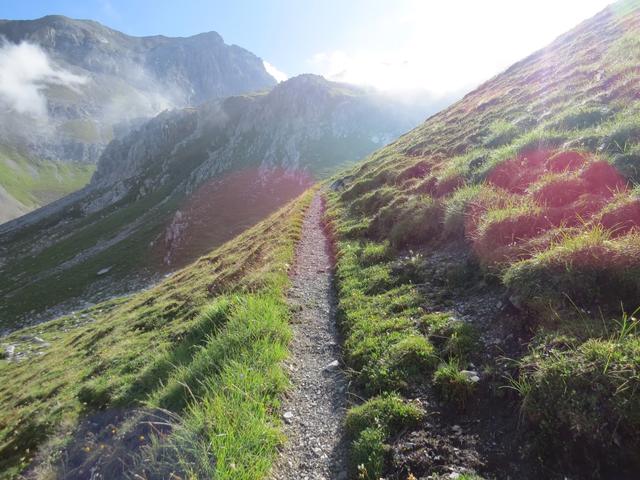 der weiterhin einfache Wanderweg, führt uns weiter taleinwärts