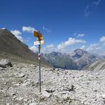 wieder auf der Fuorcla Zavretta 2888 m.ü.M. der Abstecher auf den Igl Compass hat sich gelohnt