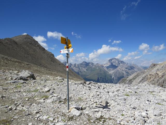 wieder auf der Fuorcla Zavretta 2888 m.ü.M. der Abstecher auf den Igl Compass hat sich gelohnt