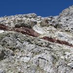 hier müsste man Geologe sein. Der vorherrschende hellbraune Felsen wird durch rostrote Einschüsse unterbrochen