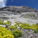 bei Terrassas blicken wir hoch zum Piz Üertsch