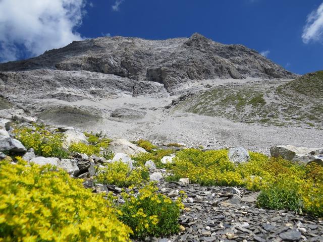 bei Terrassas blicken wir hoch zum Piz Üertsch