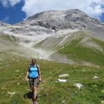 bei den Bergweiden von Terrassas 2537 m.ü.M. übernimmt dann die Farbe Grün die Oberhand