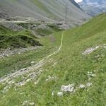kurze Zeit später stossen wir wieder auf den Wanderweg, der vom Albulapass her kommend, nach Crap Alp führt