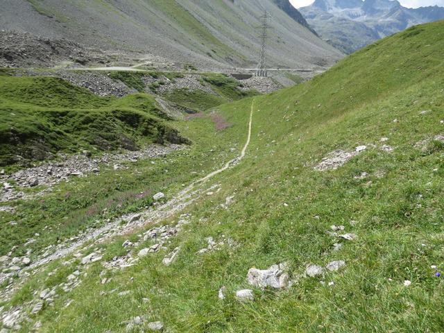 kurze Zeit später stossen wir wieder auf den Wanderweg, der vom Albulapass her kommend, nach Crap Alp führt