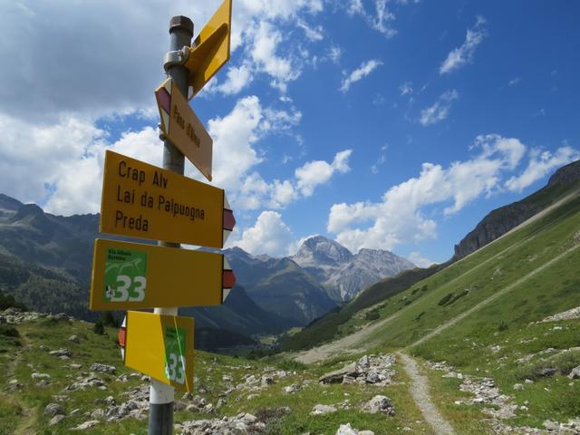 der einfache Wanderweg führt uns zur Weggabelung 2178 m.ü.M.