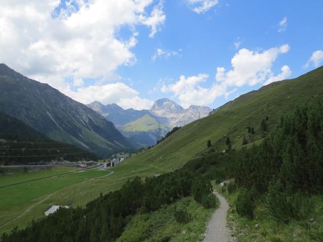 der Wanderweg führt uns durch einen Berghang mit Legföhren