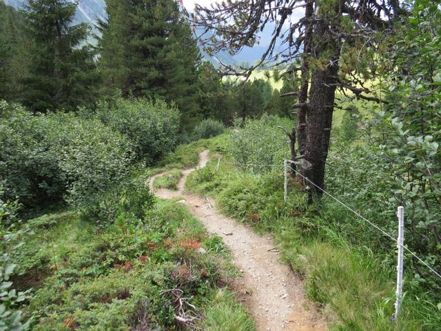 ...und biegen direkt nach der Strasse in den Wanderweg...