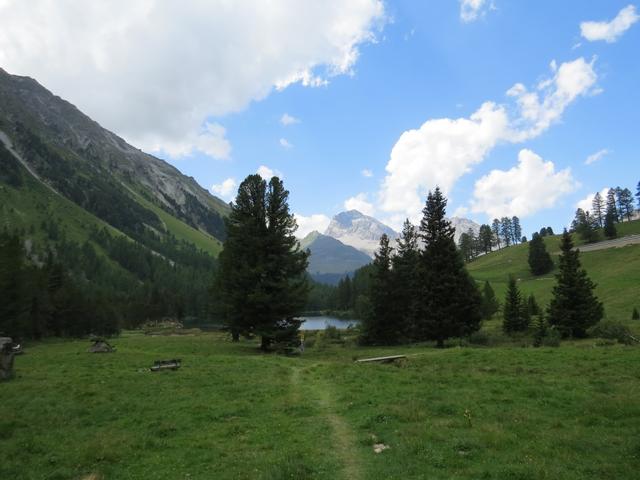 ...zum Palpuognassee 1918 m.ü.M. führt