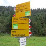 Wegweiser beim Palpuognassee