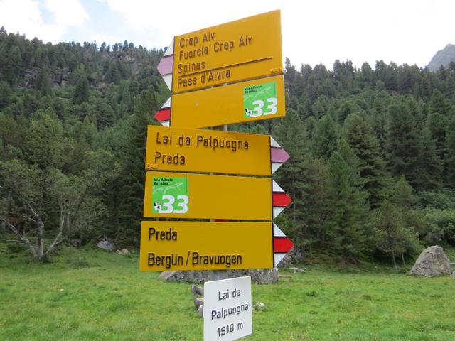 Wegweiser beim Palpuognassee