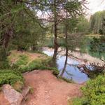 nach dieser schönen Pause geht es alles dem See entlang weiter