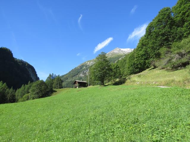 ...weiter taleinwärts nach Baudro 1507 m.ü.M.