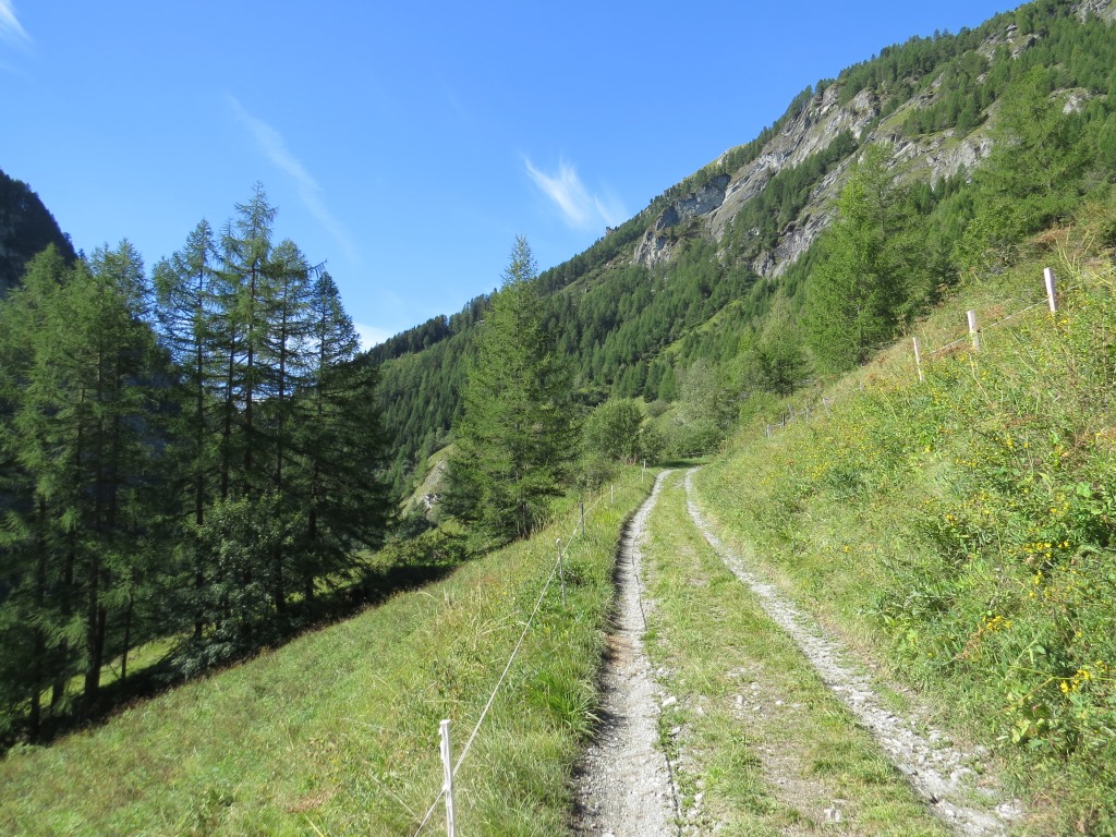 bei Punkt 1664 m.ü.M. überqueren wir einen Bach