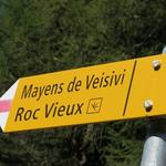 hier biegen wir links ab Richtung Roc Vieux