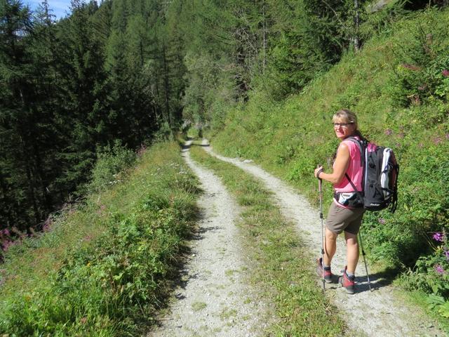 auf einer Kiesstrasse bleibend verlieren wir etwas an Höhe...