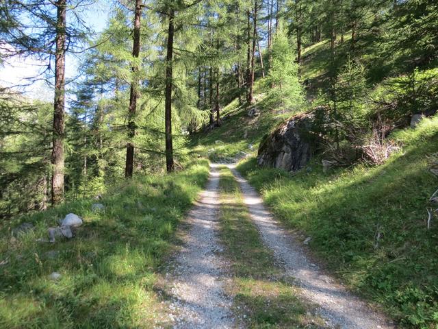 jenseits der Borgne führt eine breite eher steile Alpstrasse...