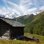 die Aussicht von dieser kleinen Alp auf die umliegenden Bergen ist fantastisch