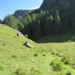 alles am Rande der kleinen Hochebene von Mayens de Veisivi, führt der Wanderweg nun einen weiten Rechtsbogen durch