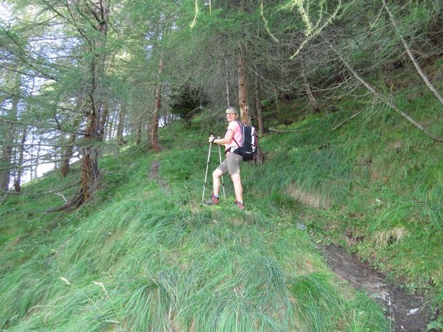 ...wandern wir nun auf einem schönen Wanderweg den steilen Hang hinauf