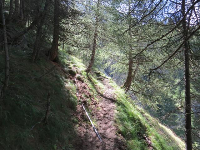 bei Punkt 2019 m.ü.M. schwenkt der Bergpfad...