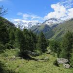 nach dieser überwältigenden Rast, kehren wir auf demselben Weg...