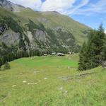 ... nach Mayens de Veisivi 1877 m.ü.M. zurück