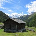 ab hier wandern wir nicht mehr auf dem gleichen Weg zurück nach Les Haudères