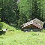 vorbei an einer einsamen Waldhütte wandern wir an der rechten Bachseite weiter talauswärts