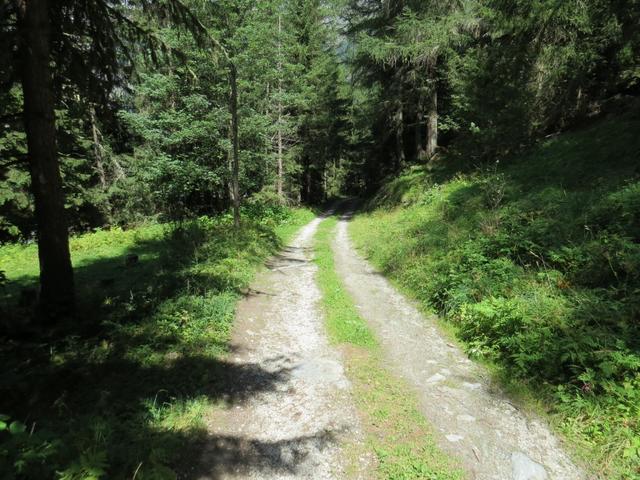 der Wanderweg wird nun flacher...