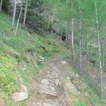 der steile Bergpfad führt uns nun über ein paar Kehren 1570 m.ü.M.