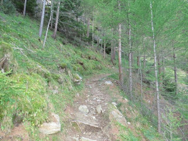 der steile Bergpfad führt uns nun über ein paar Kehren 1570 m.ü.M.