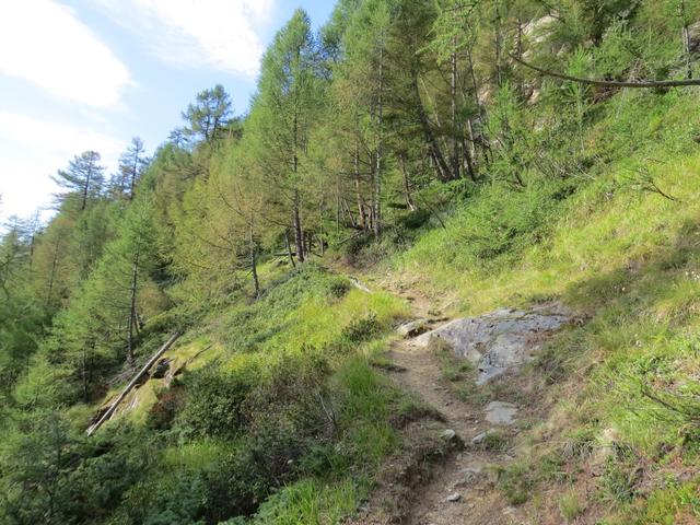 nach einer grossen Kehre zieht der Bergweg, weiter an Höhe gewinnend nun ständig Taleinwärts