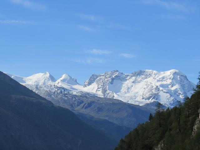 ...und zu den umliegenden Bergen Breithorn, Pollux, Castor und Liskamm, ist einfach zu schön um einfach weiter zu laufen