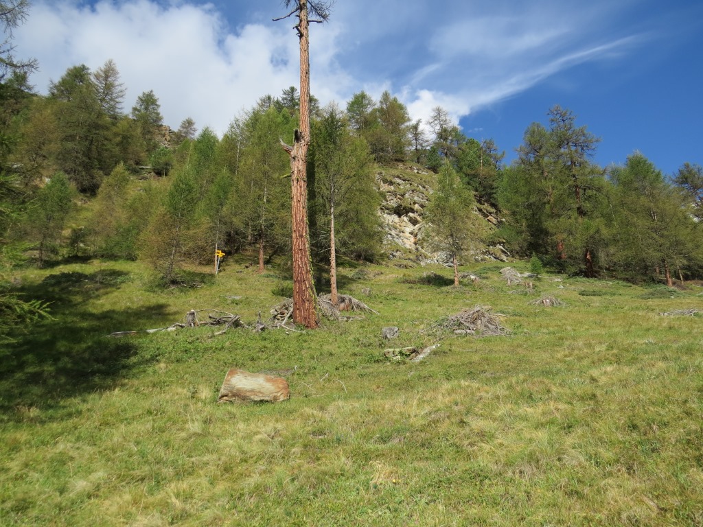 ...und erreichen die Wegkreuzung bei Punkt 1963 m.ü.M.