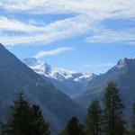 Blick in die Täschalp und zum Rimpfischhorn