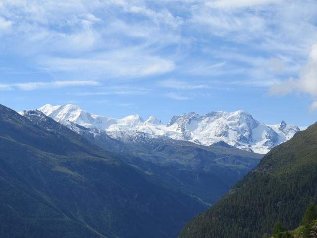 schön aufgereiht Liskamm, Castor, Pollux, Breithorn und Klein Matterhorn