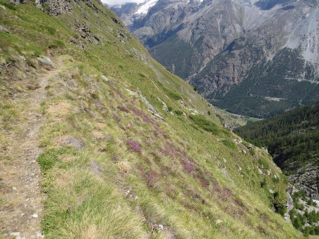 der bisher einfache Wanderweg von der Weisshornhütte hinunter zur Schatzplatte...