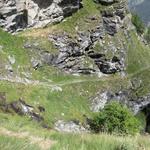 wir erreichen die Schlucht bei Melchflue. Blick auf den Bergweg der aus der Schlucht führt