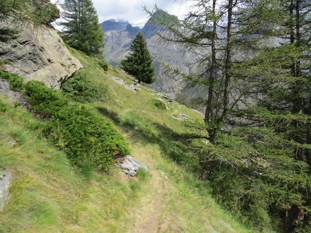 kurz vor Schaluberg, erreichen wir eine Weggabelung