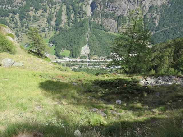 tief unter uns erkennen wir den Wildibach, Abfluss des Kingletscher der sich zwischen Dom und Täschhorn befindet