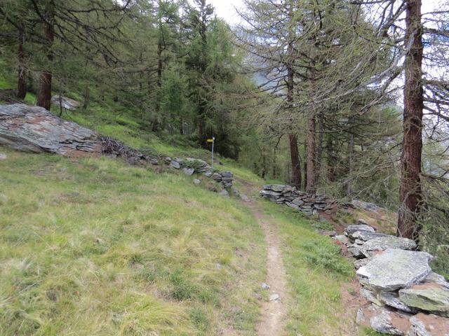 nach der Rast, verlassen wir die kleine Alp von Rötiboden, und erreichen schon nach ein paar Meter...