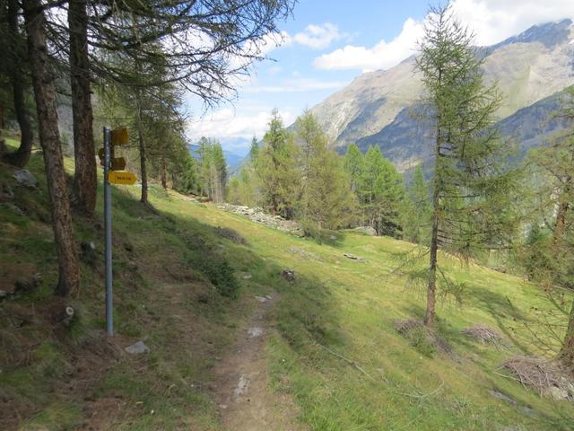 wir erreichen die Wegkreuzung bei Punkt 1963 m.ü.M...