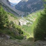 Blick talauswärts, und zum riesigen Schuttkegel des Bergsturzes von 1991