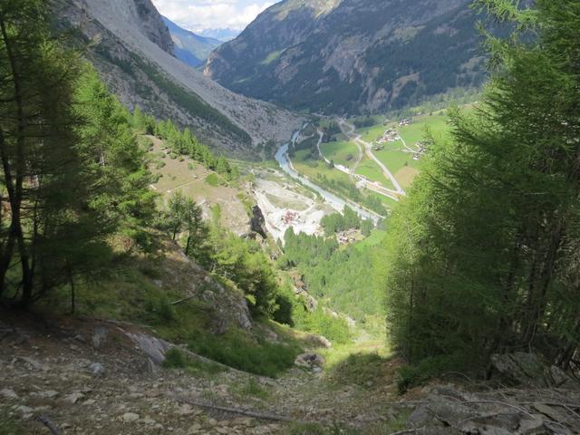 Blick talauswärts, und zum riesigen Schuttkegel des Bergsturzes von 1991