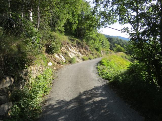 wir erreichen die Strasse das von Ausserberg kommend, hinauf nach Fuxtritt führt. Wir biegen rechts ab und folgen dem Strässch