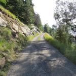 wir wandern alles weiter auf dem Strässchen bleibend, aufwärts Richtung Schlaufe bei Punkt 1634 m.ü.M.